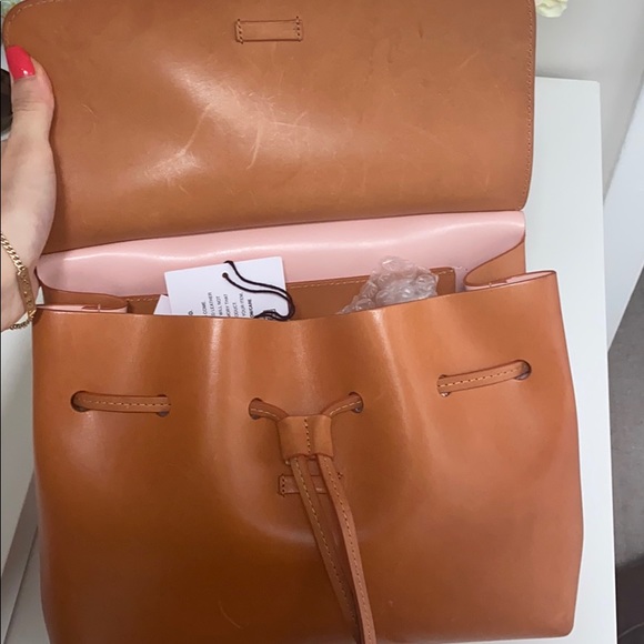 Mansur Gavriel mini lady bag! SOLD - Picture 16 of 16